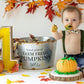 Pumpkin Bow Tie and olive green Suspenders baby boy 1st birthday photo shoot pumpkin patch