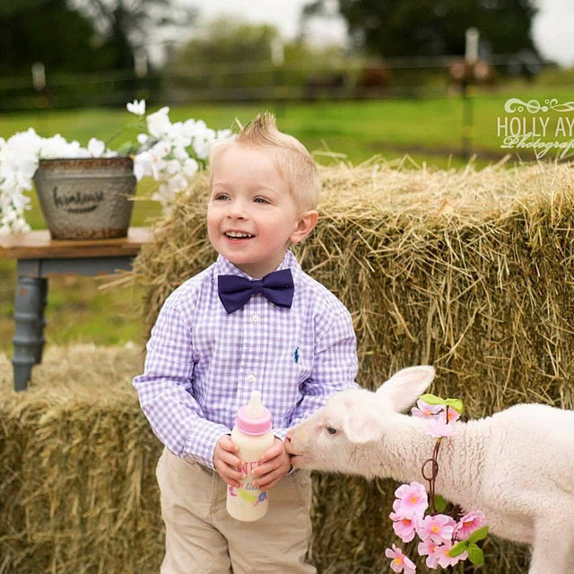 Child in a checkered shirt and Plum bow tie feeding a lamb with flowers on a farm setting.