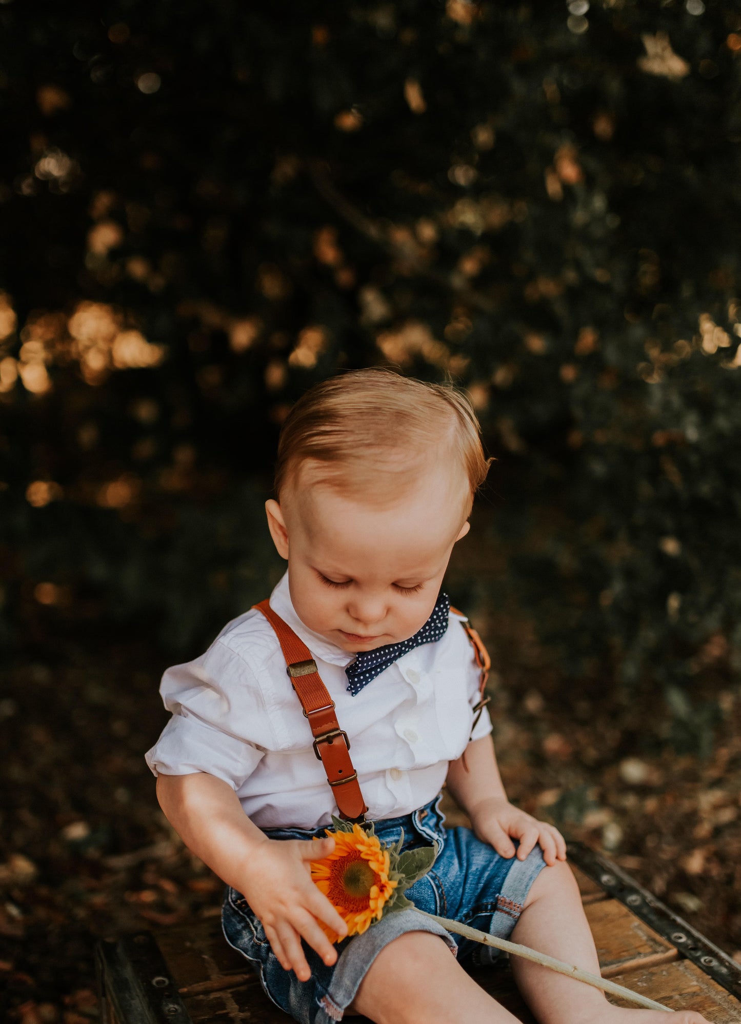 Navy Blue Bow Tie