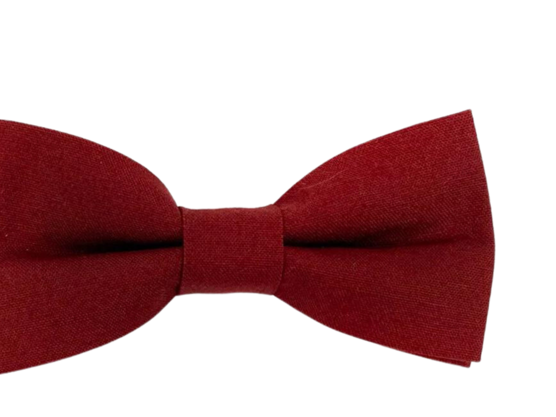 Cinnamon bow tie on a white background