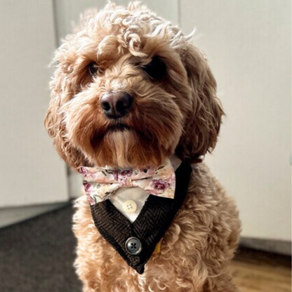 Dog wearing a floral bow tie and vest standing indoors on a wooden floor.