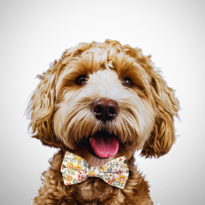 Dog wearing a floral bow tie on a plain background